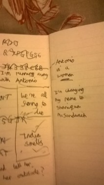 WP_20150208_19_29_14_Pro