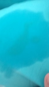 IMG_20150409_161933571