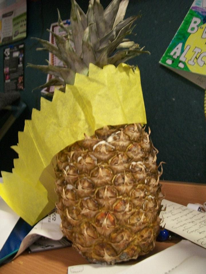 374301_10150427118641050_1213846788_n