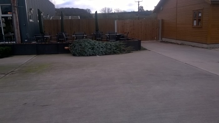 WP_20151122_12_38_37_Pro