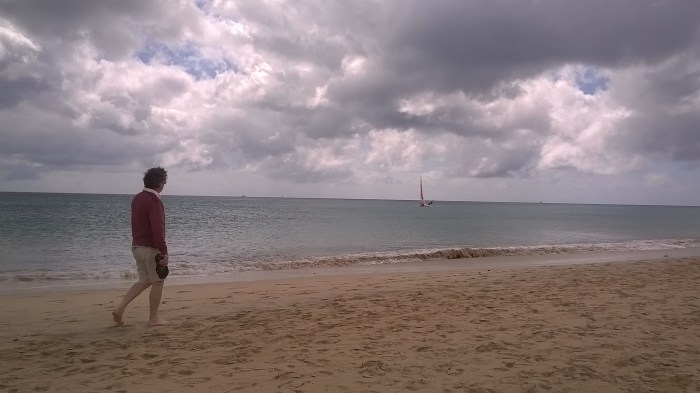 WP_20160323_12_00_28_Pro