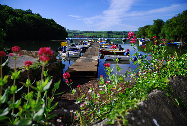 pontoon-through-flowers