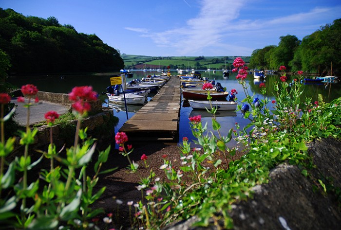 pontoon-through-flowers