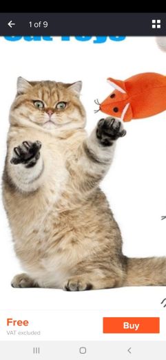 69553328_814893145573442_5419786352847749120_n