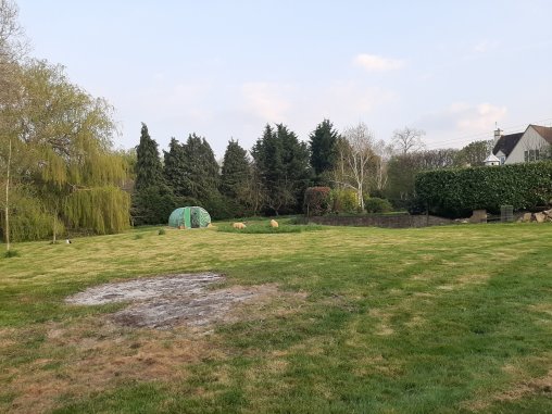Polytunnel in the Field
