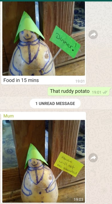 Mr Potato Abuse