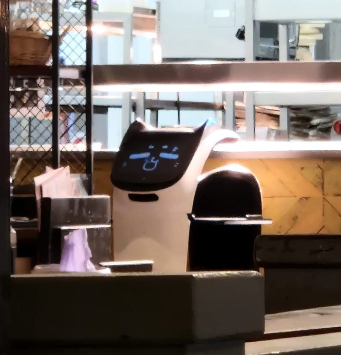 The Robots are Coming for&nbsp;us