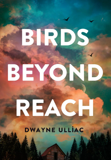 Book Review: “Birds Beyond Reach” by Dwayne&nbsp;Ulliac