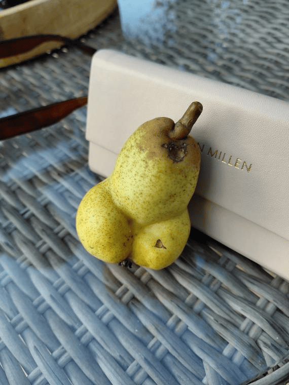 This Pear, Though